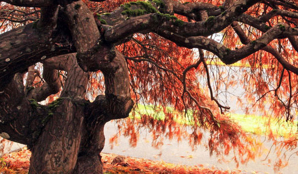 手机号自动轰炸